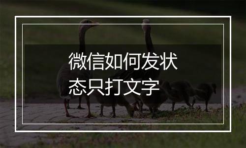 微信如何发状态只打文字